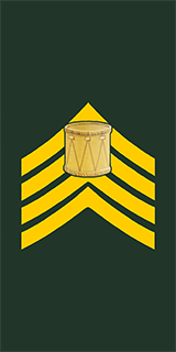 Army Drum Major