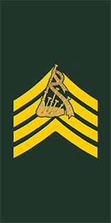Army Pipe Major