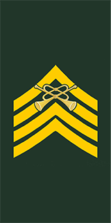 Army Trumpet Major